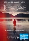 Top Of The Lake (2013).jpg
